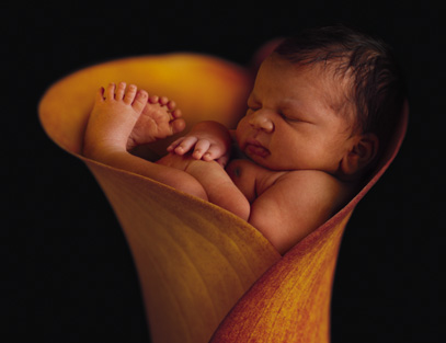 Babinko